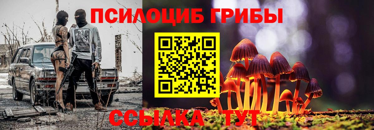 Псилоцибиновые грибы прущие грибы Наро-Фоминск